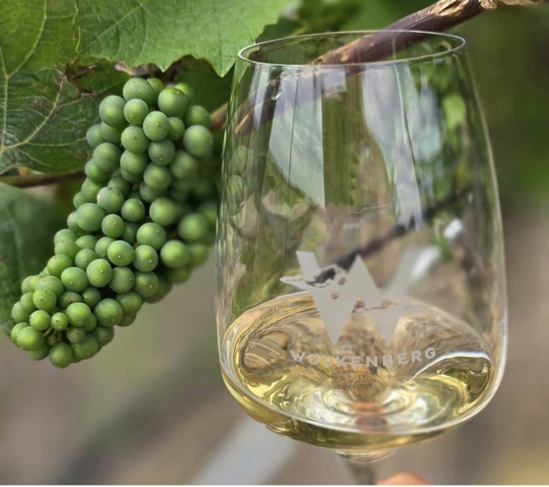 Hier klicken um Bilder anzuzeigen