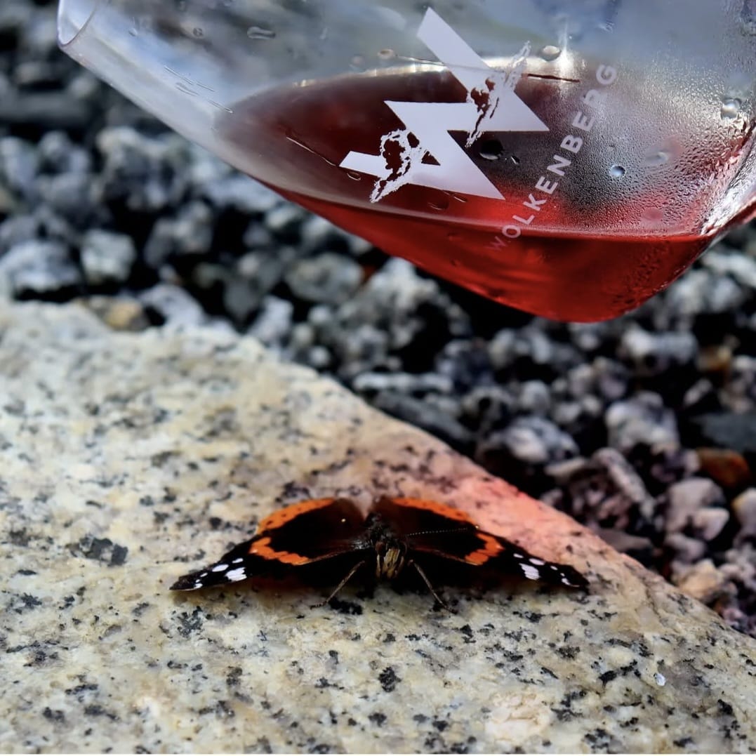 Hier klicken um Bilder anzuzeigen