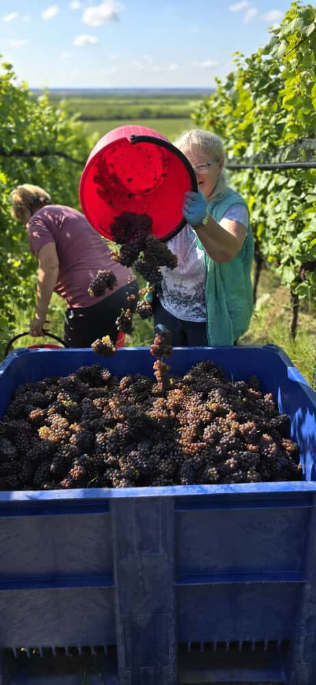 Hier klicken um Bilder anzuzeigen