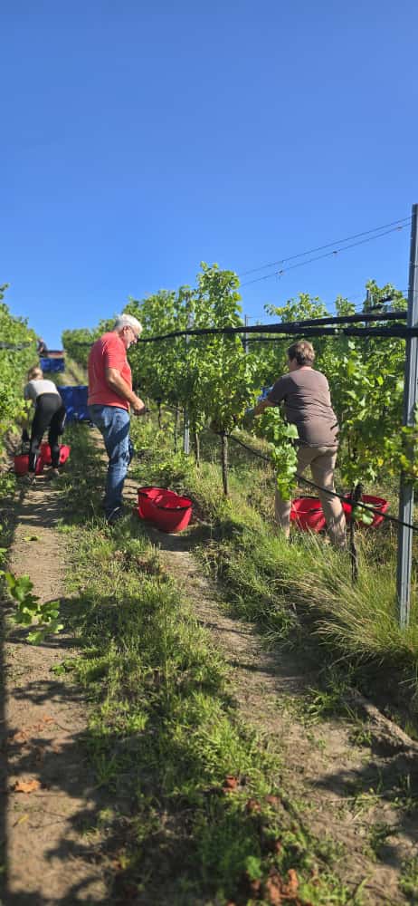 Hier klicken um Bilder anzuzeigen