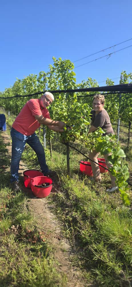 Hier klicken um Bilder anzuzeigen